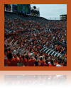 collage image title